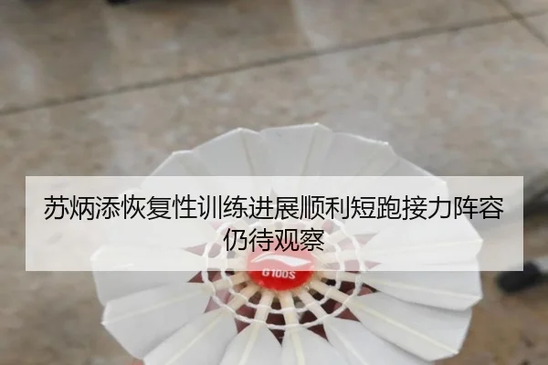 苏炳添恢复性训练进展顺利短跑接力阵容仍待观察 | Kaiyun